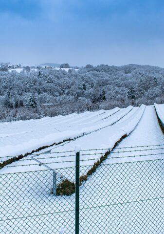 solar-system-6015982_1280(1)